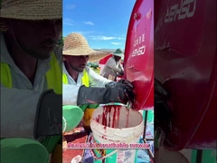 Сертификат WA Высокая гибкость Тартанский беговой трек, адаптированный для проектов