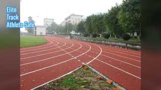 Дышащая беговая дорожка Pro Elite Performance